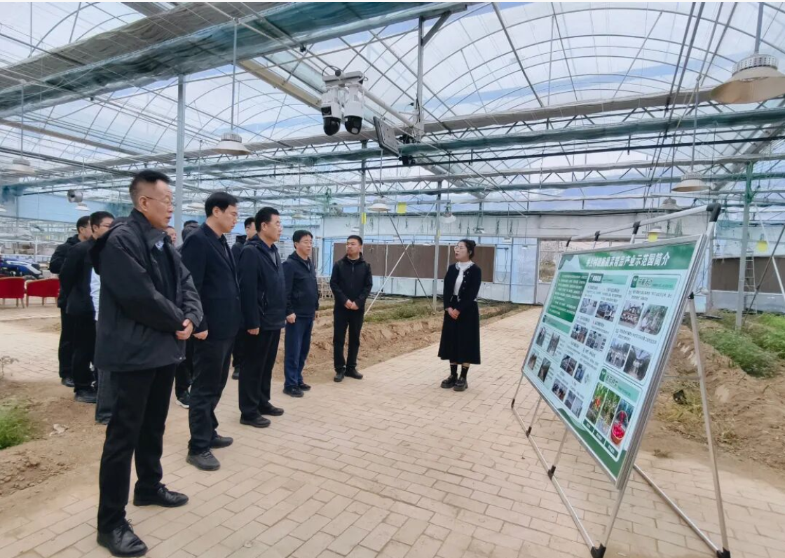 1764143315601716.png 1764143315601716.png