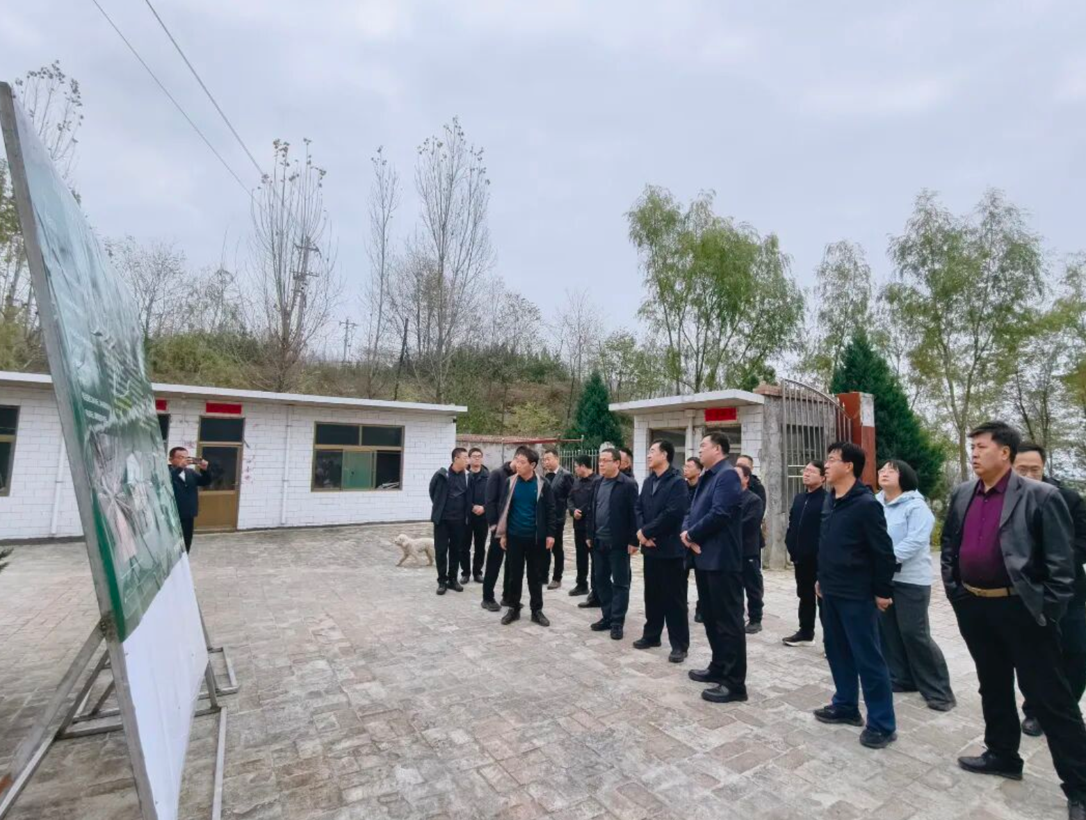 1764143730293688.png 1764143730293688.png